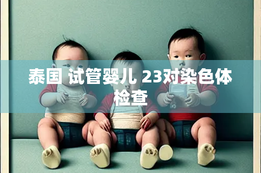 泰国 试管婴儿 23对染色体检查