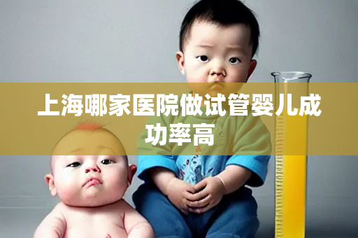 上海哪家医院做试管婴儿成功率高