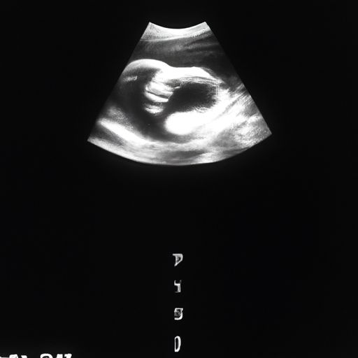 验孕棒显示怀孕图片（验孕棒显示怀孕的图片）
