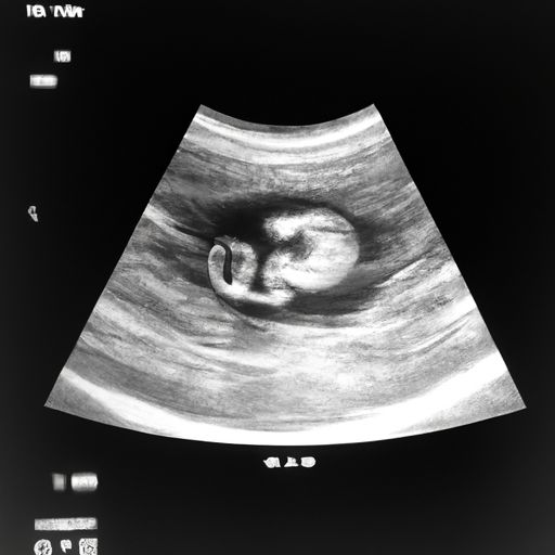 怀孕5个月标准肚子照片（怀孕5个月标准肚子照片真人）